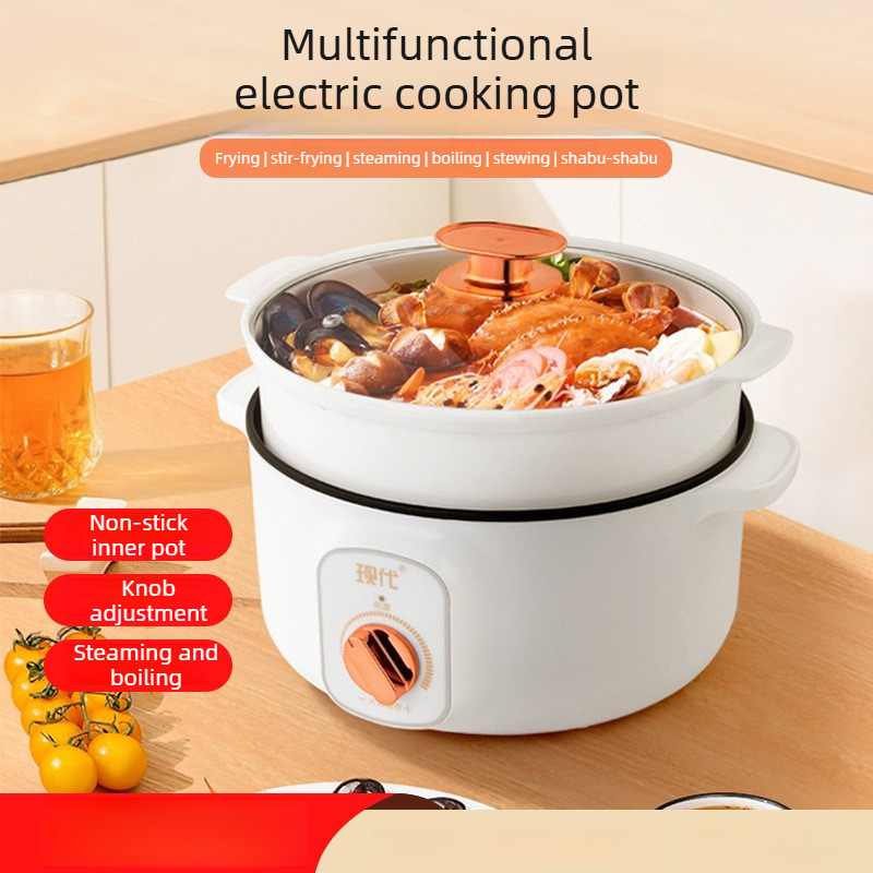 Multifunctional Mini Electric  - đánh giá và giá Home Cooking Electric