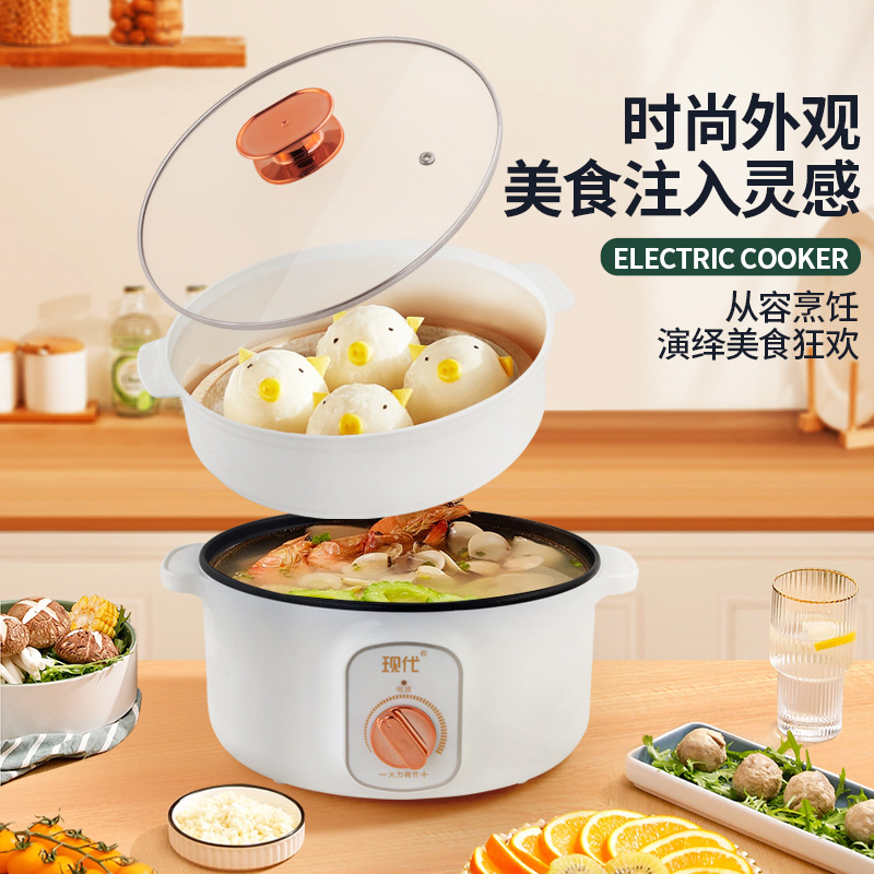 Multifunctional Mini Electric  - đánh giá và giá Home Cooking Electric