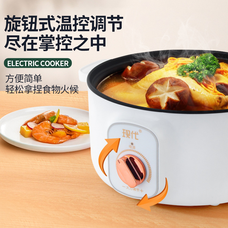 Multifunctional Mini Electric  - đánh giá và giá Home Cooking Electric